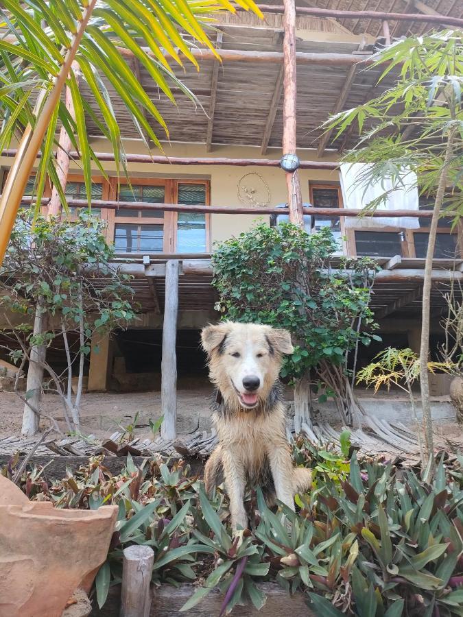 Casa Surf Lodge - Tofo Luaran gambar